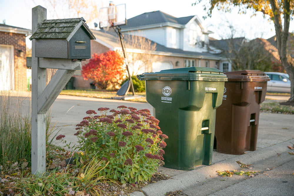Sparkling clean residential trash bins on a driveway